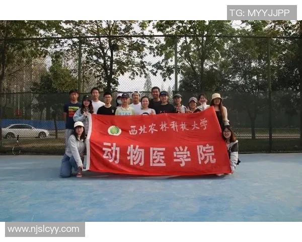 南京网球队与西安网球队赛后心理素质深度分析与复盘探讨