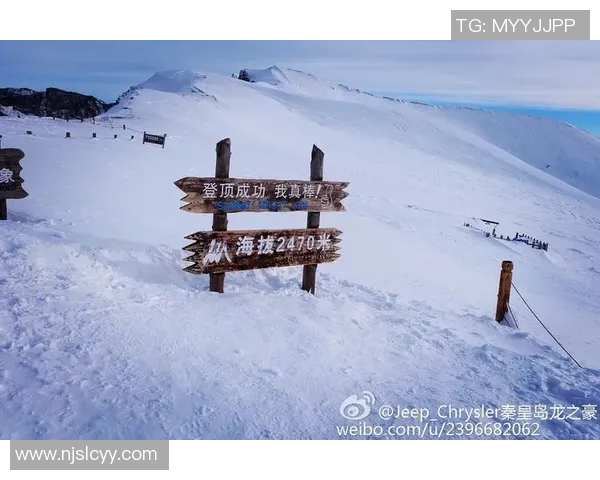 周娜专访：从篮球场到人生舞台的精彩旅程回顾