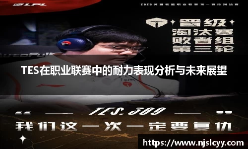 TES在职业联赛中的耐力表现分析与未来展望