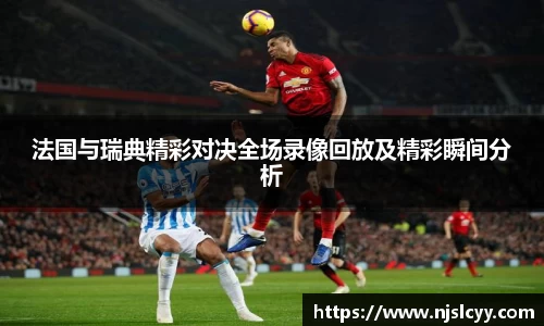 法国与瑞典精彩对决全场录像回放及精彩瞬间分析
