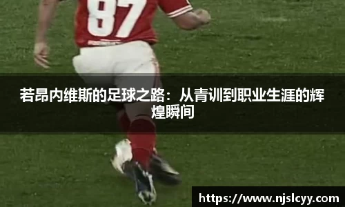k1体育